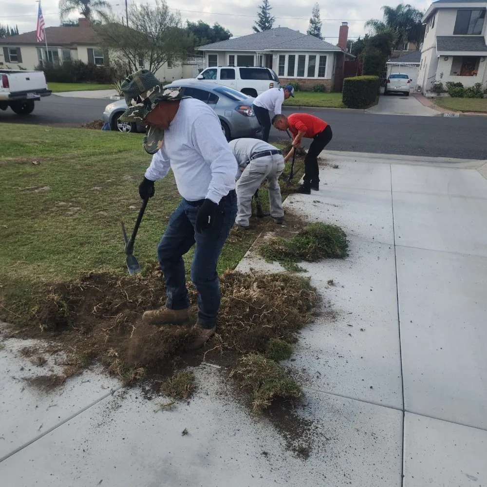 Custom outdoor landscaping experts serving North Hollywood, CA - RotoTillerGuy