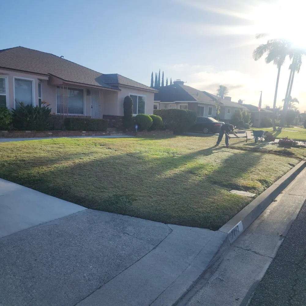 Top-rated landscaping services in North Hollywood, CA - RotoTillerGuy