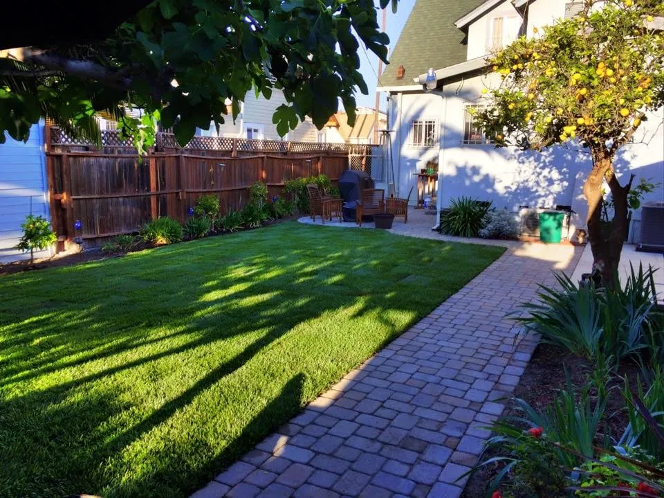 Custom landscape installation in Santa Monica, CA - RotoTillerGuy