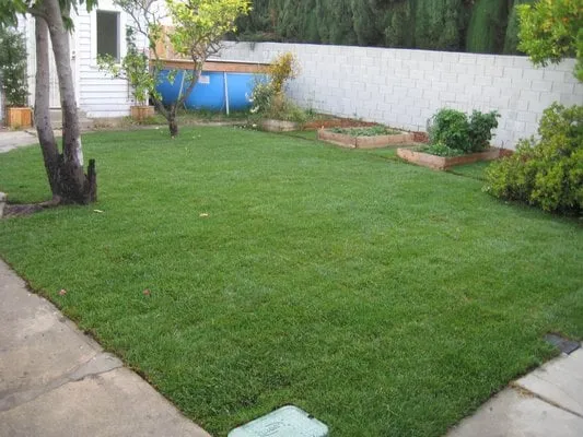 Local yard maintenance in Santa Monica, CA - RotoTillerGuy