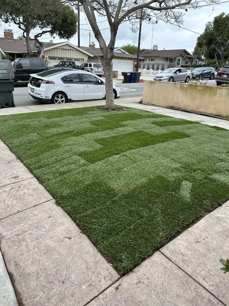 Reliable residential landscaping in Torrance, CA by RotoTillerGuy