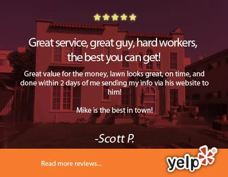 Local yard maintenance for outdoor upgrades in Torrance, CA by RotoTillerGuy