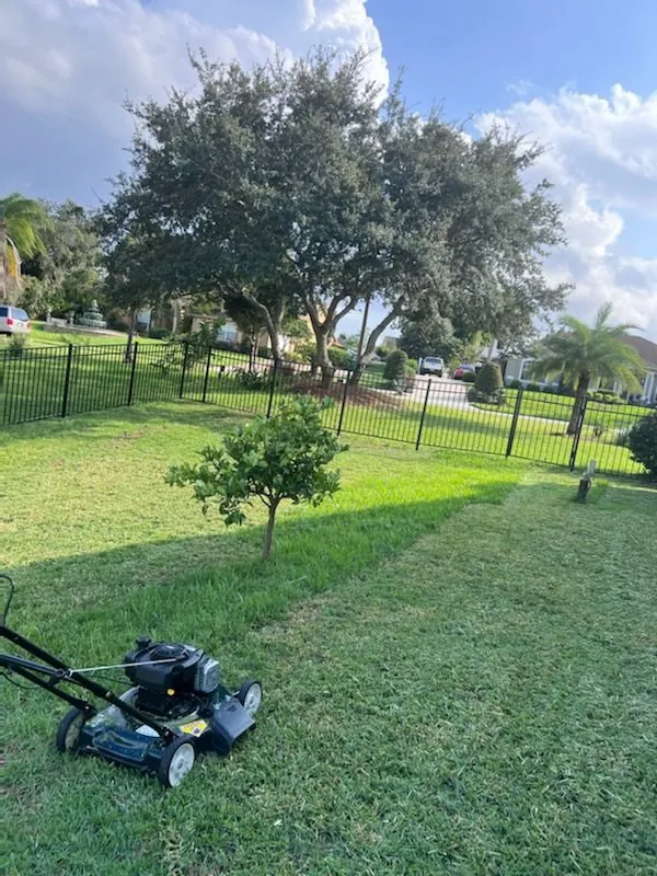 Professional landscaping services near you in Deltona, FL by Rottie Lawn Care