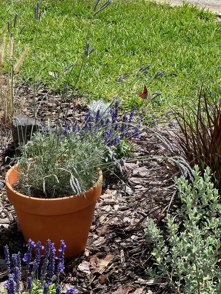 Trusted landscaping services in Deltona, FL - Rottie Lawn Care