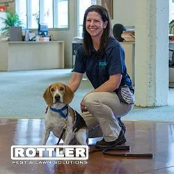 Affordable residential landscaping in Riverside, MO by Rottler Pest Solutions