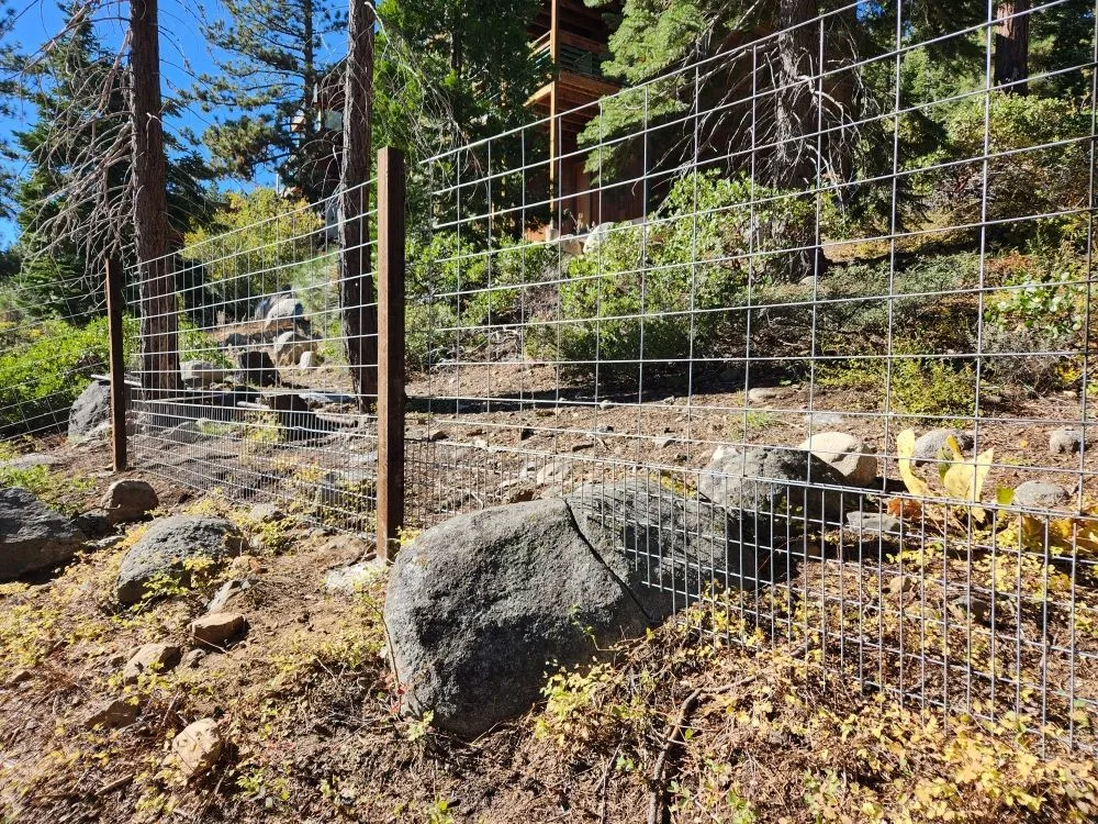 Reliable landscape design in Rough and Ready, CA by Rough and Ready Land Management