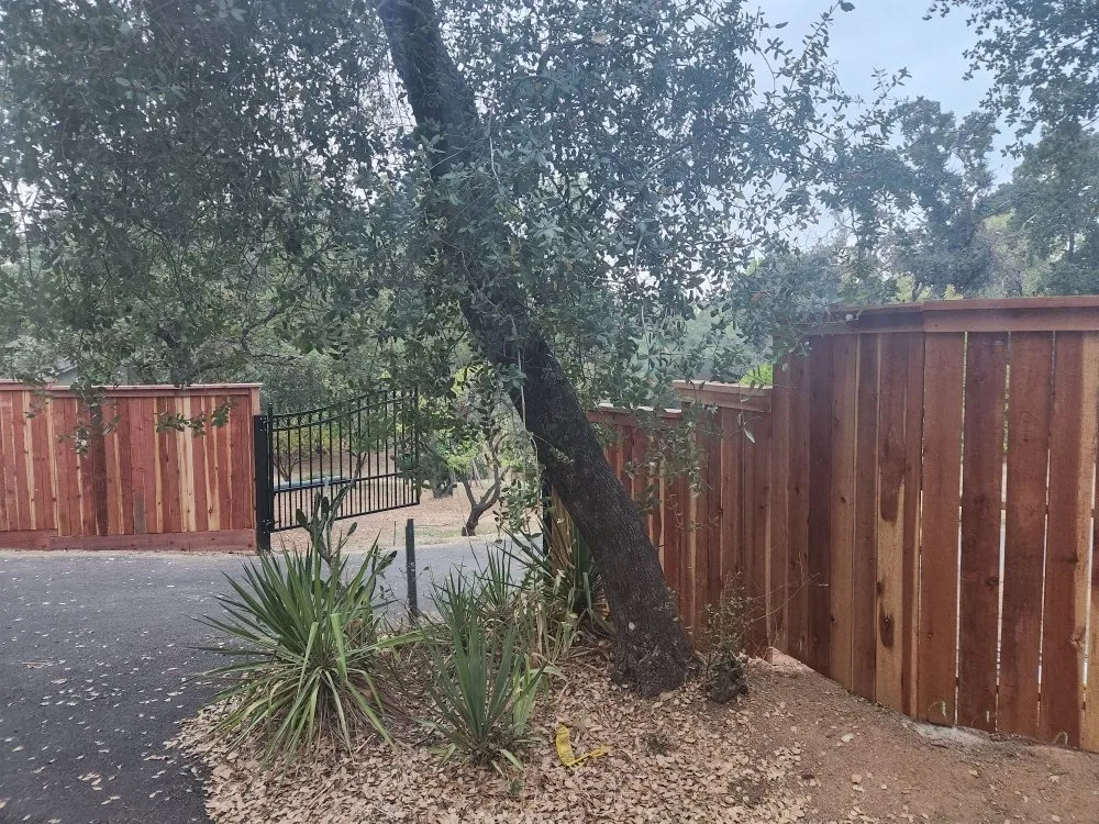 Professional landscaping services experts serving Rough and Ready, CA - Rough and Ready Land Management