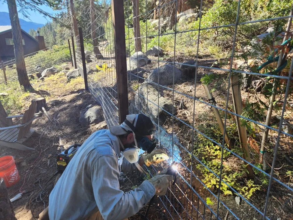 Trusted lawn care service in Rough and Ready, CA by Rough and Ready Land Management