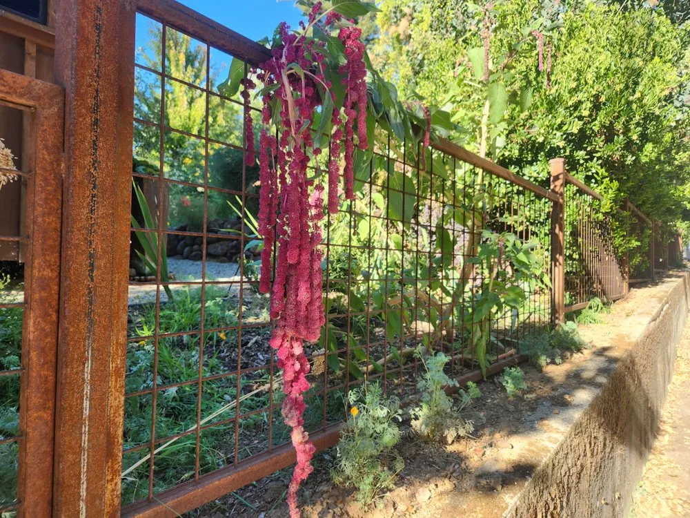 Professional garden landscaping in Rough and Ready, CA - Rough and Ready Land Management