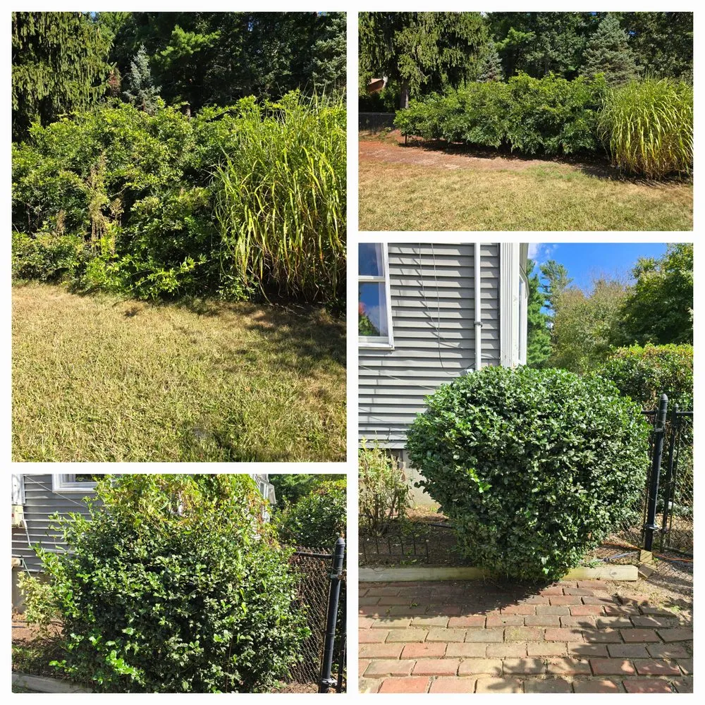 Reliable lawn mowing service for homes across Fall River, MA - Rough Boyz Property Cleanup