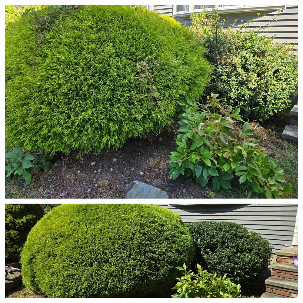 Top-rated residential landscaping in Fall River, MA - Rough Boyz Property Cleanup
