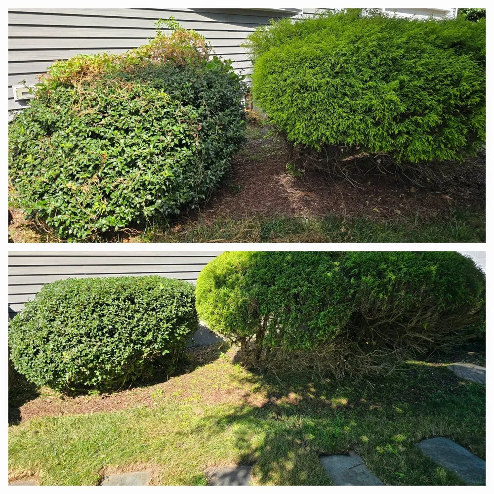 Professional residential landscaping in Fall River, MA - Rough Boyz Property Cleanup