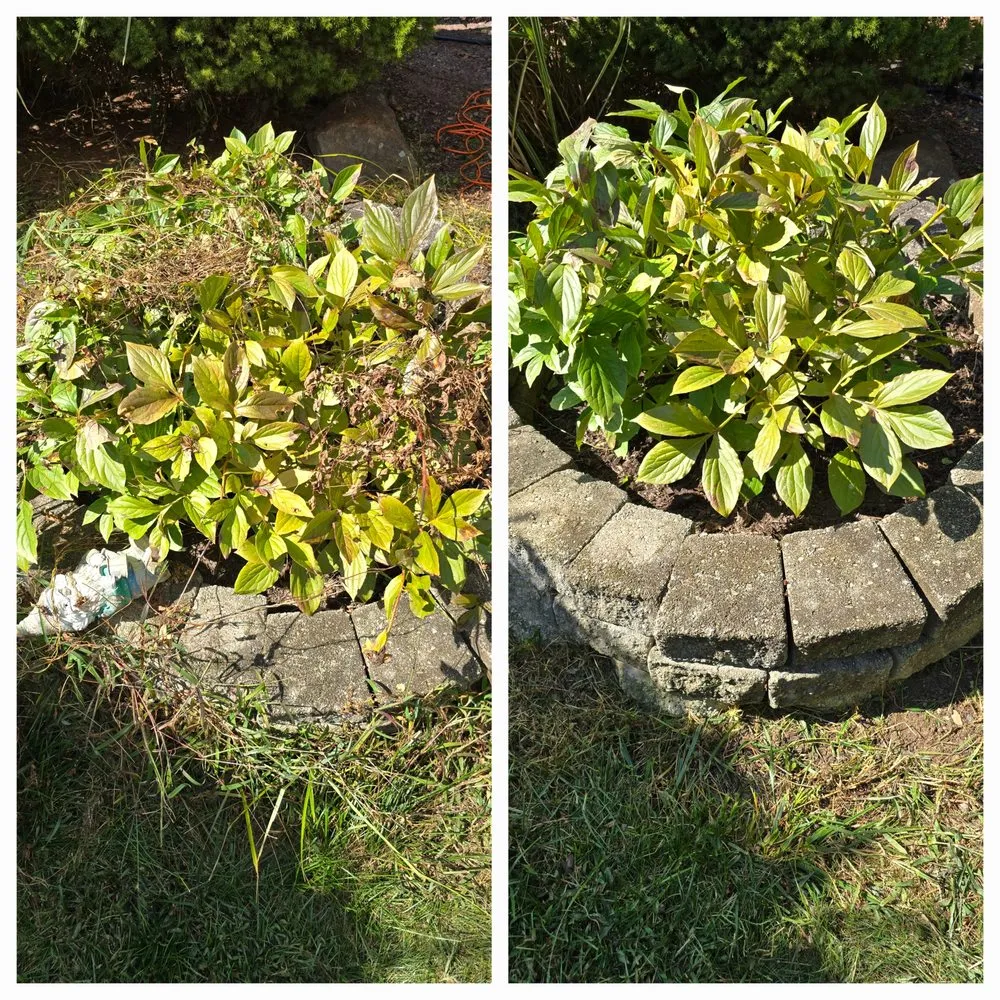 Custom lawn care service in Fall River, MA - Rough Boyz Property Cleanup