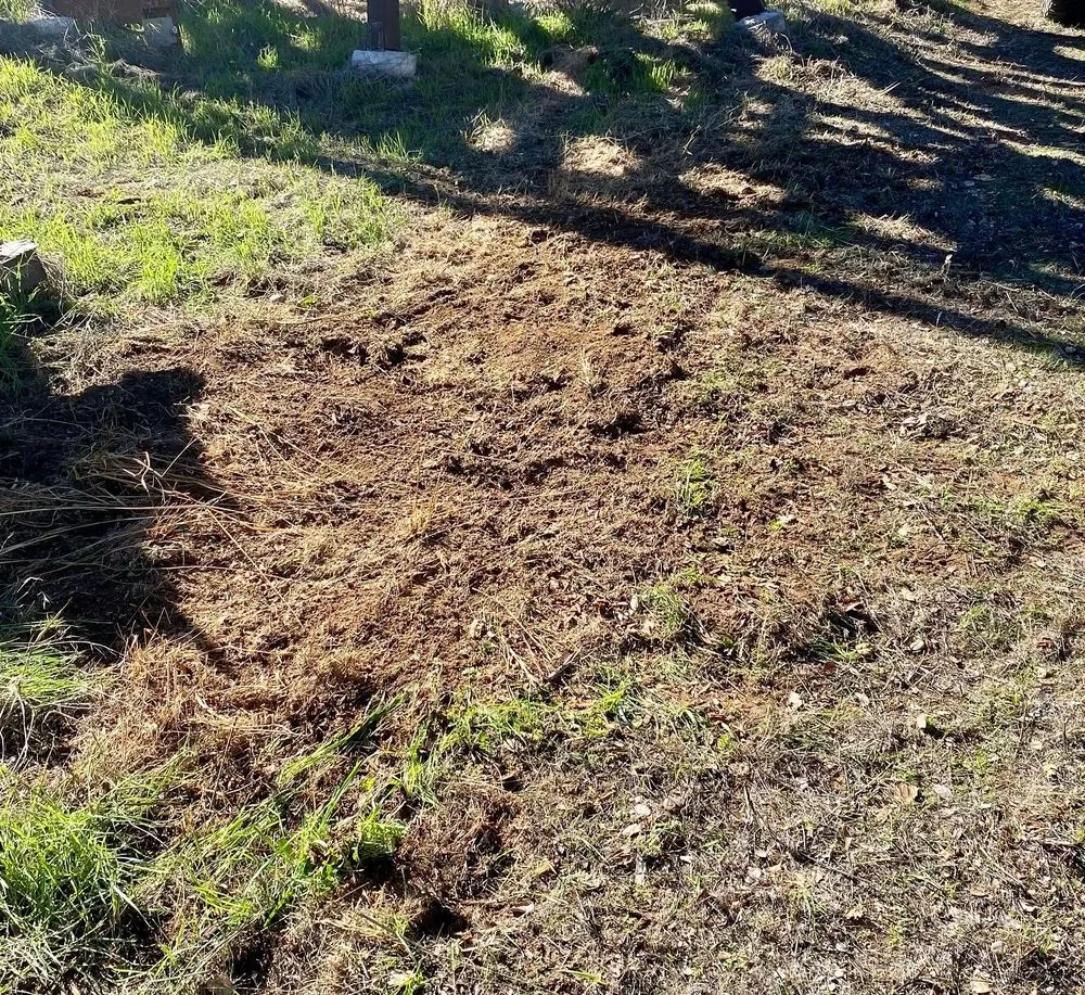 Top-rated yard maintenance for homes across Watsonville, CA - Rough County Land Mangement