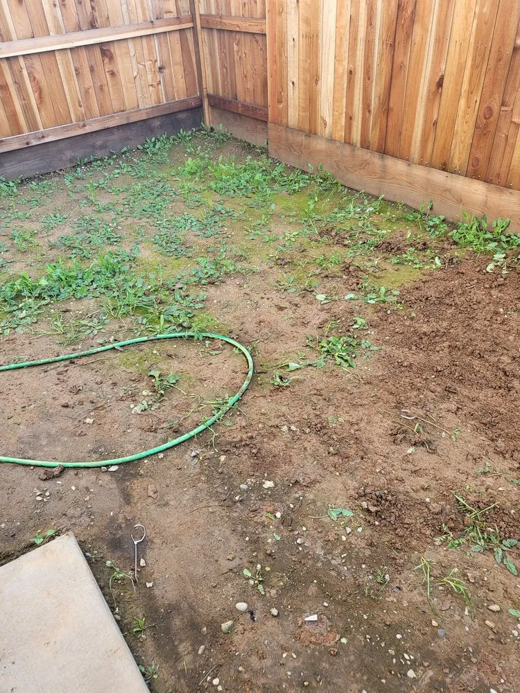 Custom outdoor landscaping for residential properties across Yuba City, CA - Rough Cut Lawn Care and Landscaping