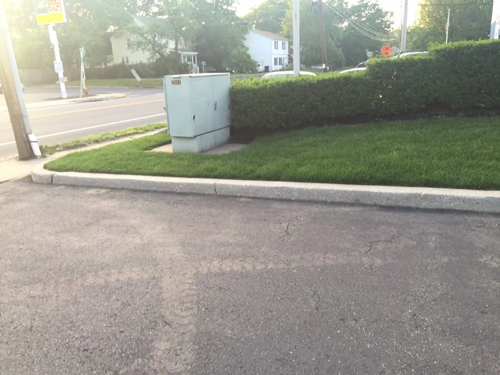 Professional yard cleanup service experts serving Old Bridge Township, NJ - Rough Diamond Enterprises