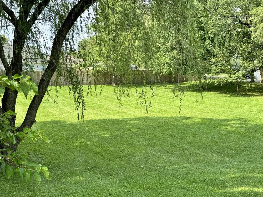 Top-rated lawn care service for homes in Centerville, IN by Rough Edges Lawn Care