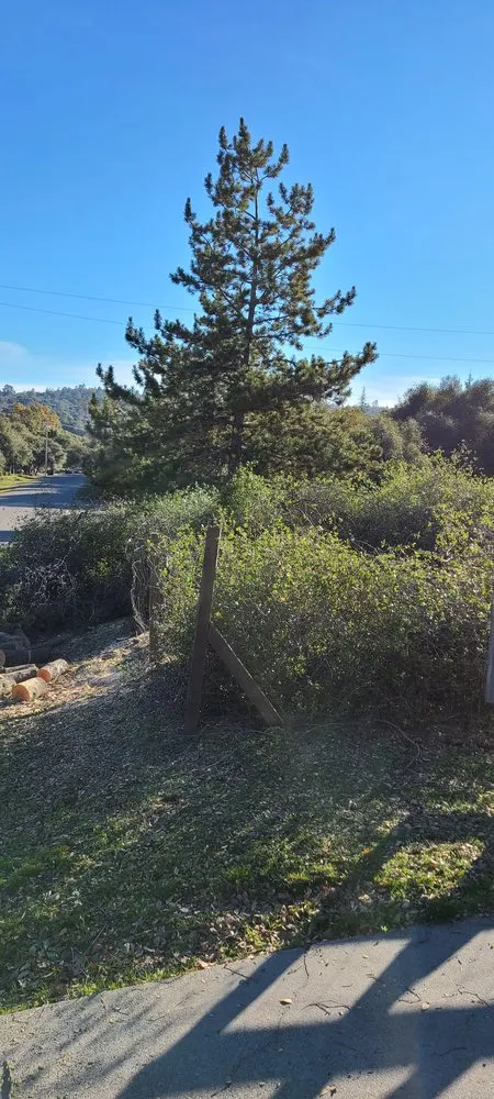 Affordable garden landscaping experts serving Kerman, CA - Rough Mountain Crews