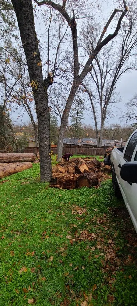 Reliable yard maintenance with custom design across Kerman, CA - Rough Mountain Crews