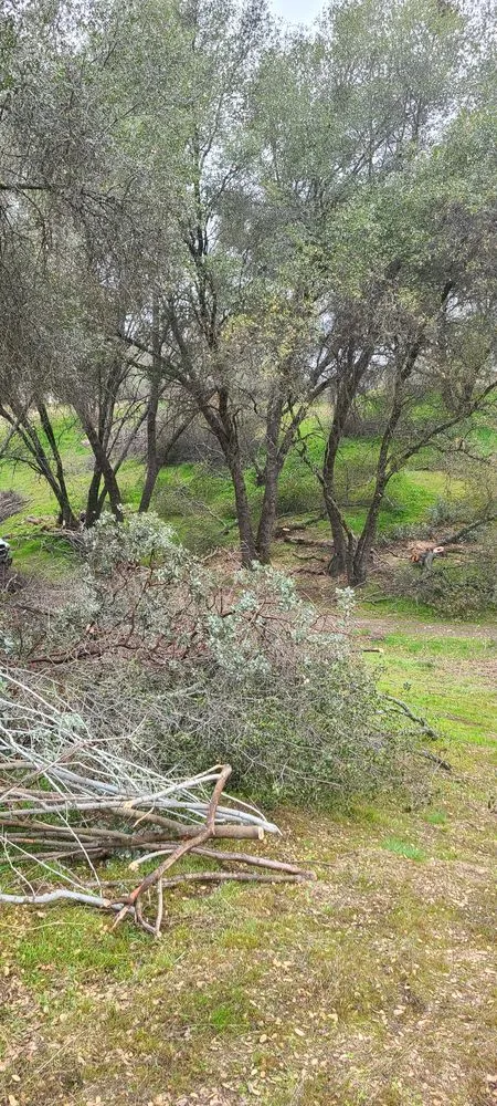 Expert landscape design experts serving Kerman, CA - Rough Mountain Crews