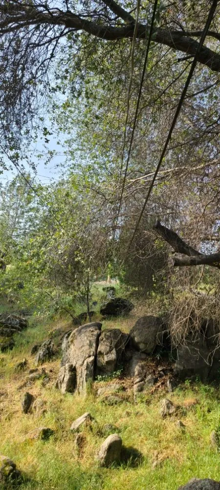 Local landscaping services in Kerman, CA - Rough Mountain Crews