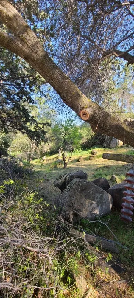Local landscape installation for homes in Kerman, CA by Rough Mountain Crews
