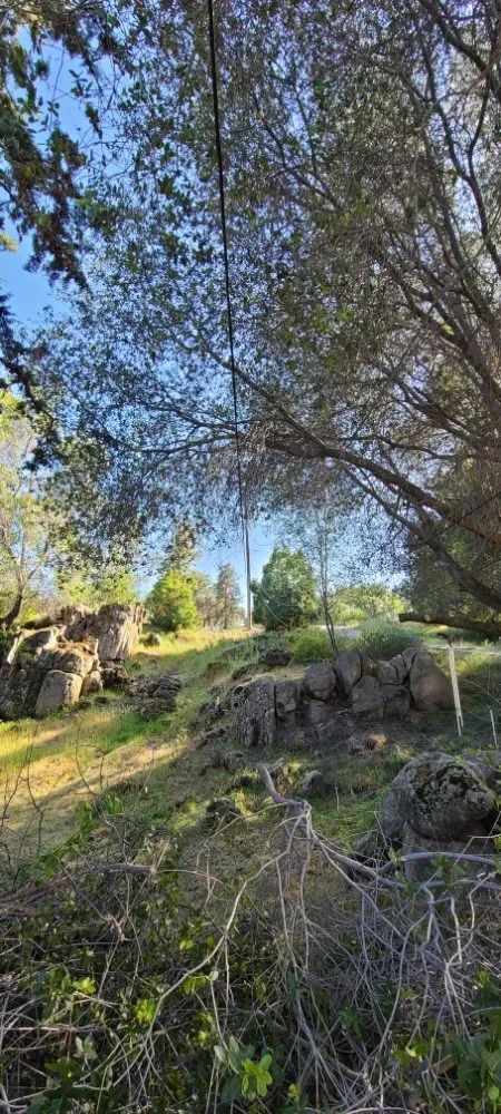 Trusted landscape design in Kerman, CA - Rough Mountain Crews