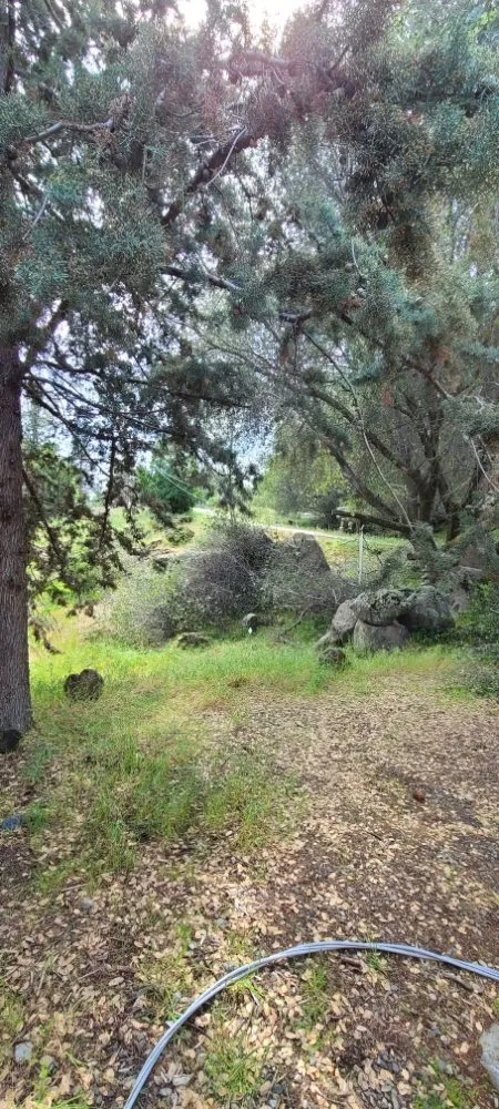 Expert garden landscaping in Kerman, CA - Rough Mountain Crews