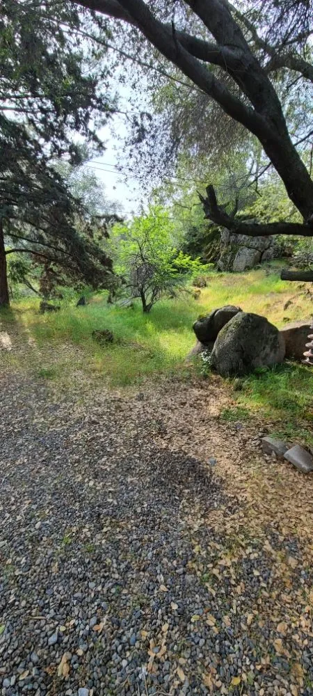 Reliable lawn mowing service for homes across Kerman, CA - Rough Mountain Crews