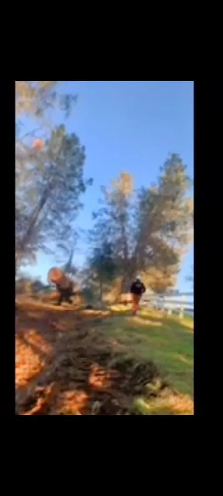 Expert yard cleanup service for residential properties across Kerman, CA - Rough Mountain Crews