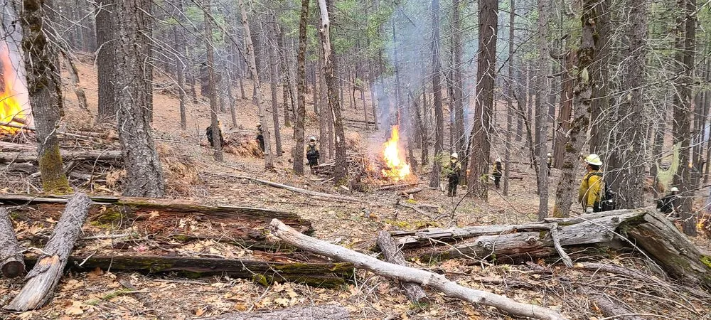 Affordable residential landscaping experts serving Kerman, CA - Rough Mountain Crews