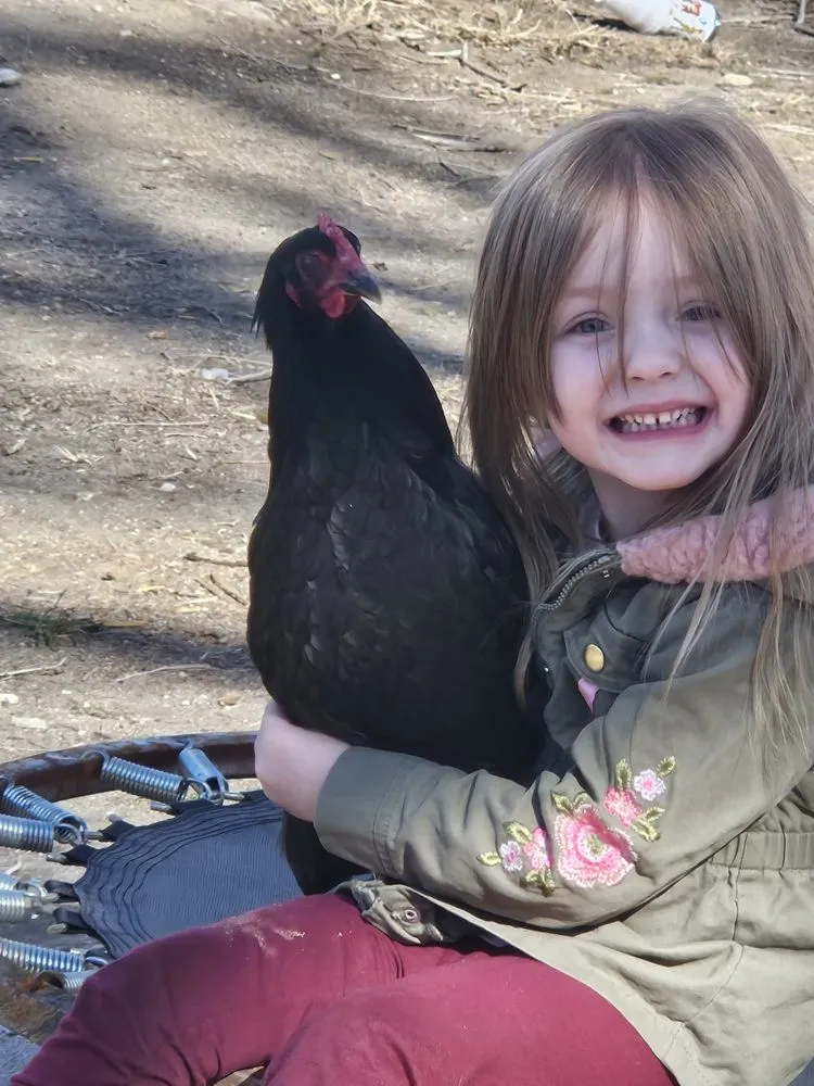 Custom yard cleanup service near you across Casper, WY - Rough N Ready