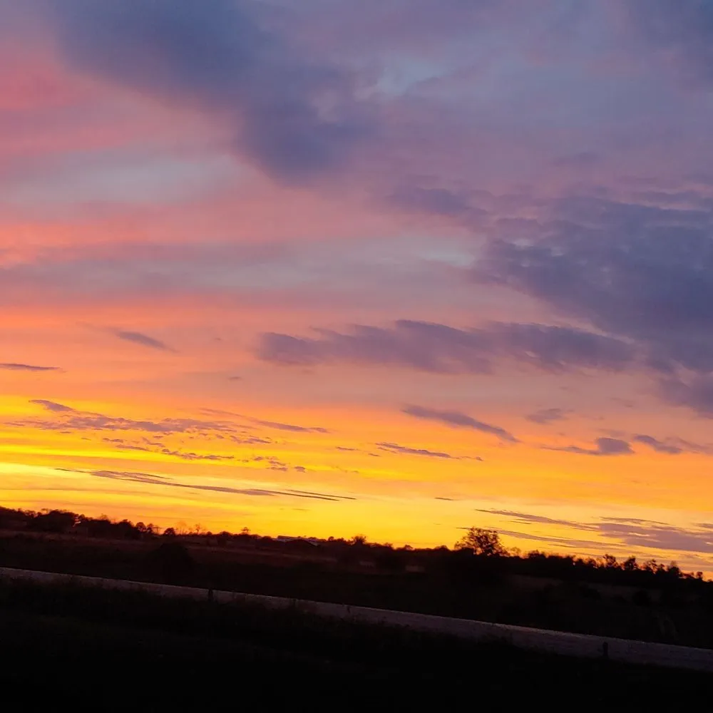 Professional yard maintenance in Winchester, KY by Rough Road Farm
