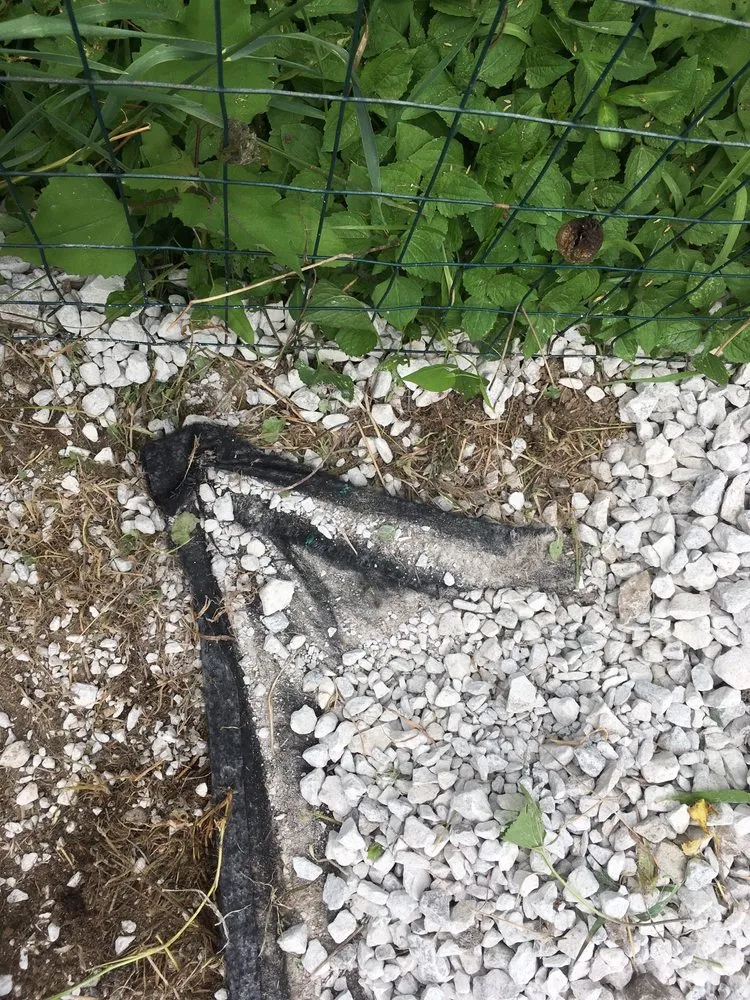 Top-rated lawn mowing service near you across Winchester, KY - Rough Road Farm