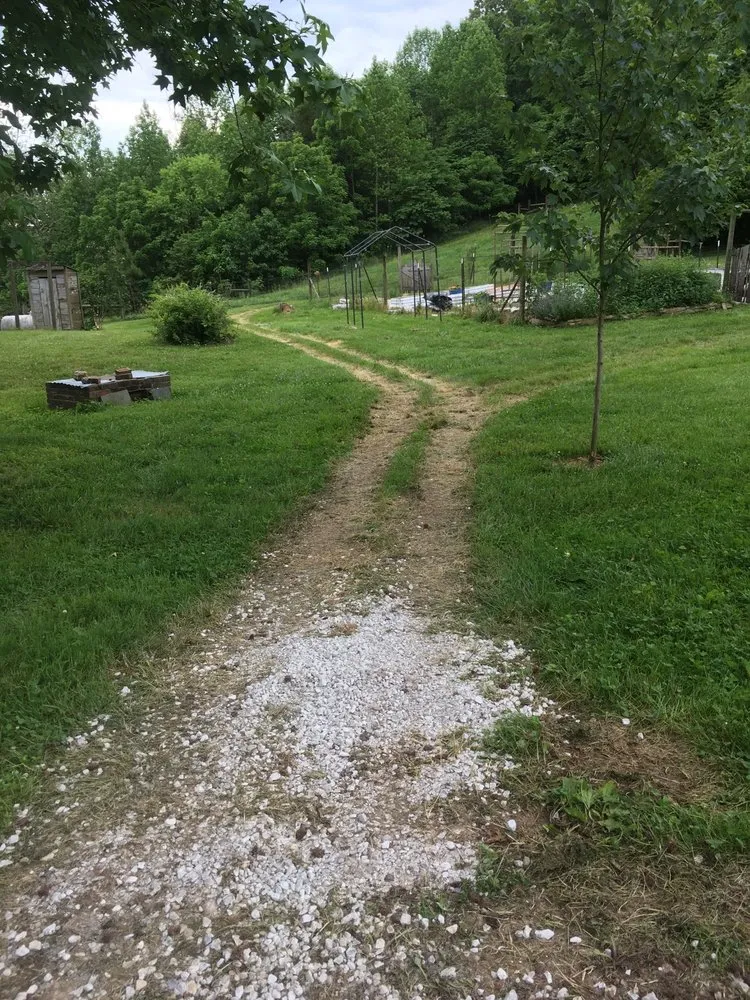 Professional residential landscaping in Winchester, KY by Rough Road Farm