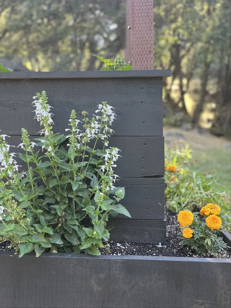 Affordable landscaping services for outdoor upgrades in Mariposa, CA by Rough Terrain Lanscapes