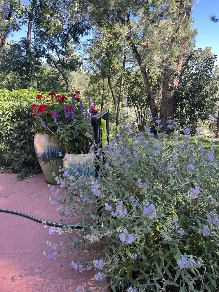 Top-rated lawn mowing service for beautiful yards in Mariposa, CA by Rough Terrain Lanscapes