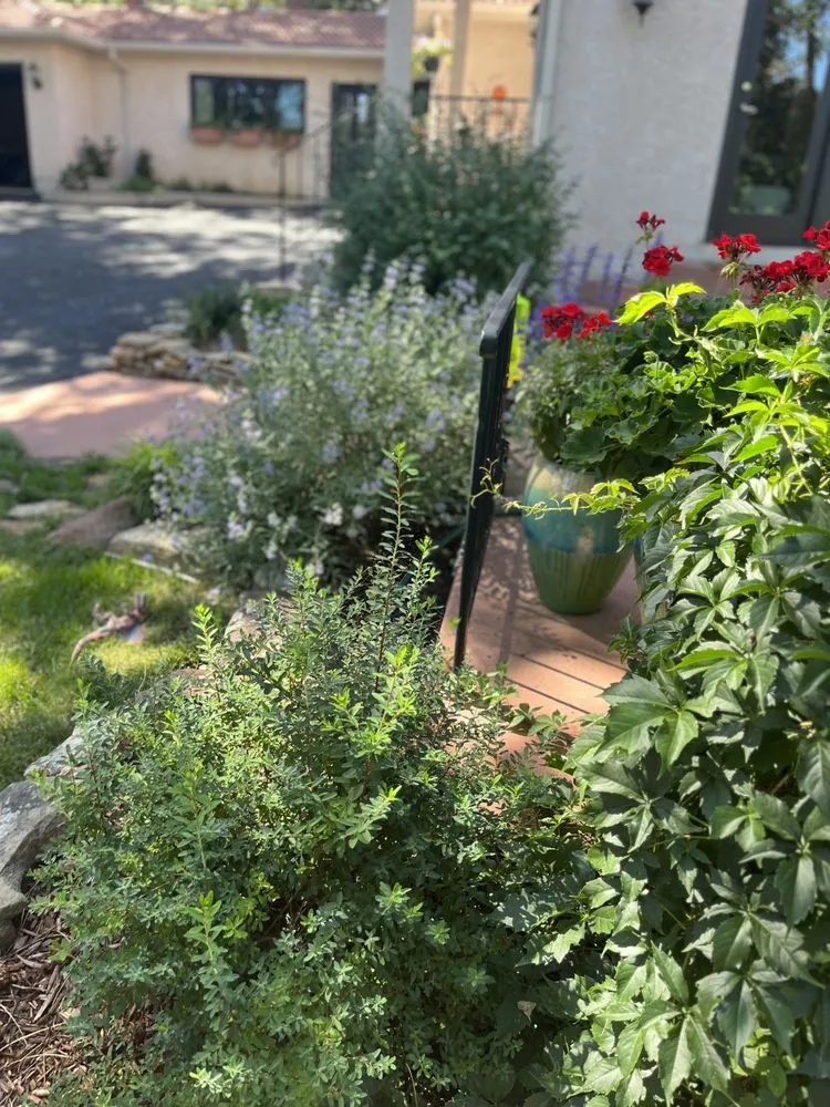 Expert lawn mowing service in Mariposa, CA by Rough Terrain Lanscapes