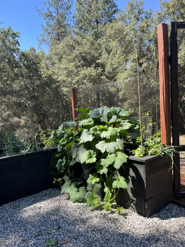 Professional outdoor landscaping for year-round maintenance in Mariposa, CA by Rough Terrain Lanscapes