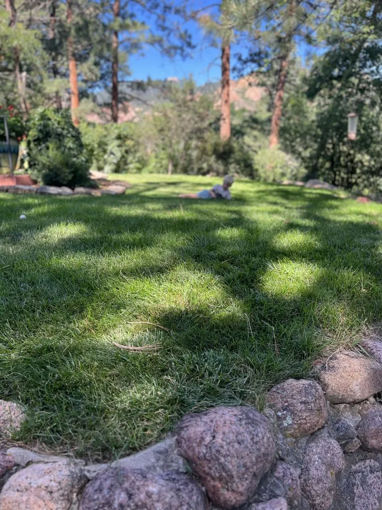 Trusted yard maintenance near you in Mariposa, CA by Rough Terrain Lanscapes