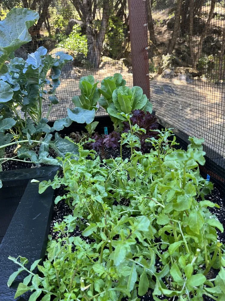 Professional garden landscaping in Mariposa, CA - Rough Terrain Lanscapes