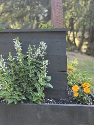 Rough Terrain Lanscapes