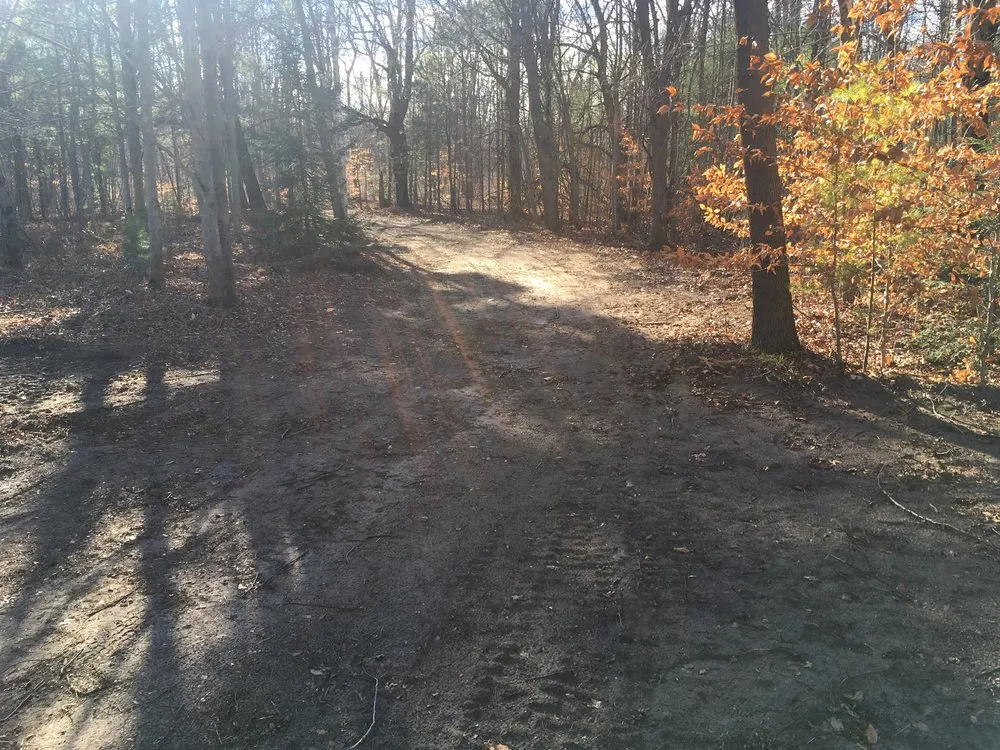 Affordable yard cleanup service in Muskegon, MI by Rough To Ready Grading