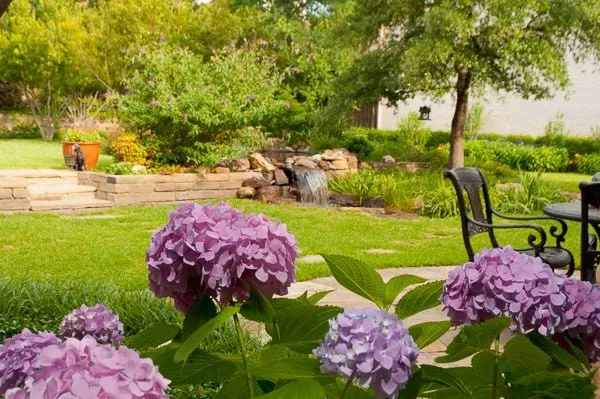 Trusted yard cleanup service experts serving Dallas, TX - Roundtree Landscaping