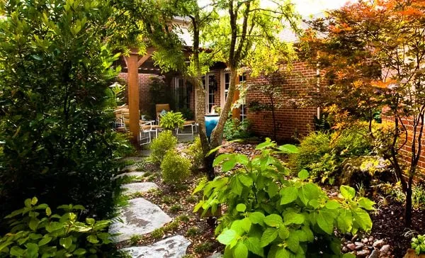 Local lawn care service in Dallas, TX - Roundtree Landscaping