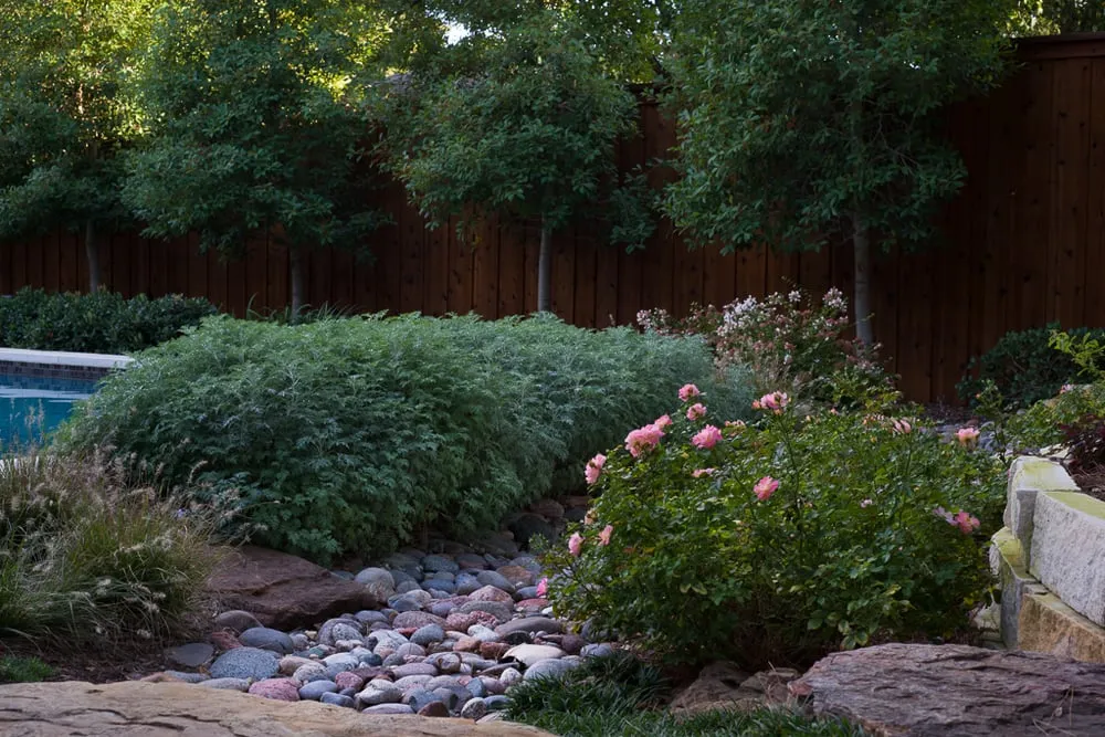 Top-rated outdoor landscaping experts serving Dallas, TX - Roundtree Landscaping
