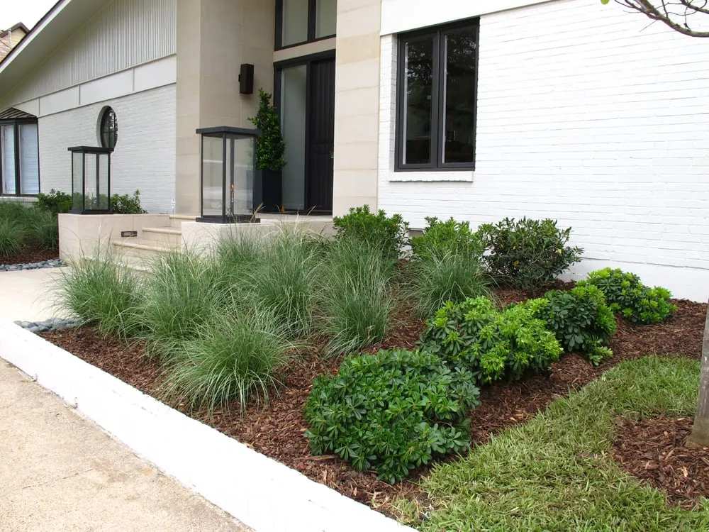 Professional lawn care service for outdoor upgrades across Dallas, TX - Roundtree Landscaping