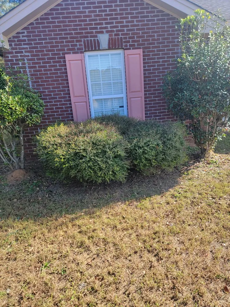 Professional garden landscaping in Montgomery, AL by Roundtree Lawncare and Pressure Washing