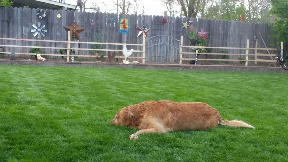 Trusted residential landscaping in Walla Walla, WA - Rountree Home and Lawn Care