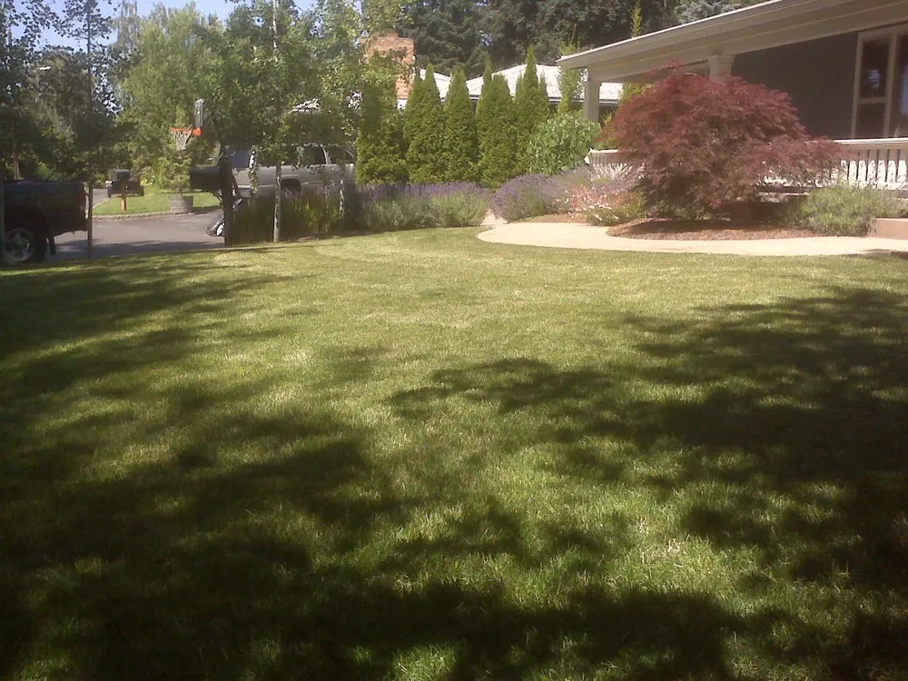 Trusted landscaping services experts serving Walla Walla, WA - Rountree Home and Lawn Care